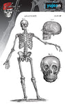 SKELETON STICKER