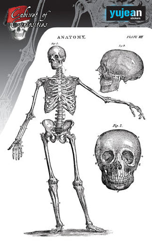 SKELETON STICKER
