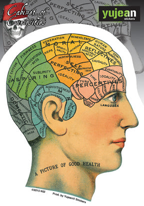PHRENOLOGY STICKER